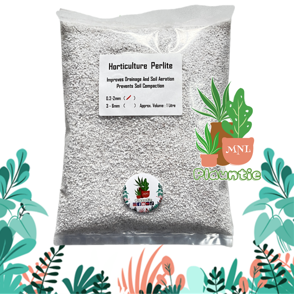 Perlite B (17)_0.2_PM