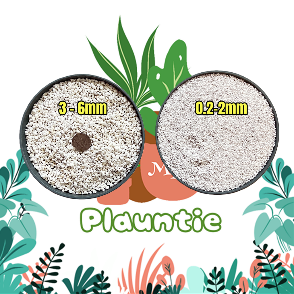 Perlite B (11)_PM