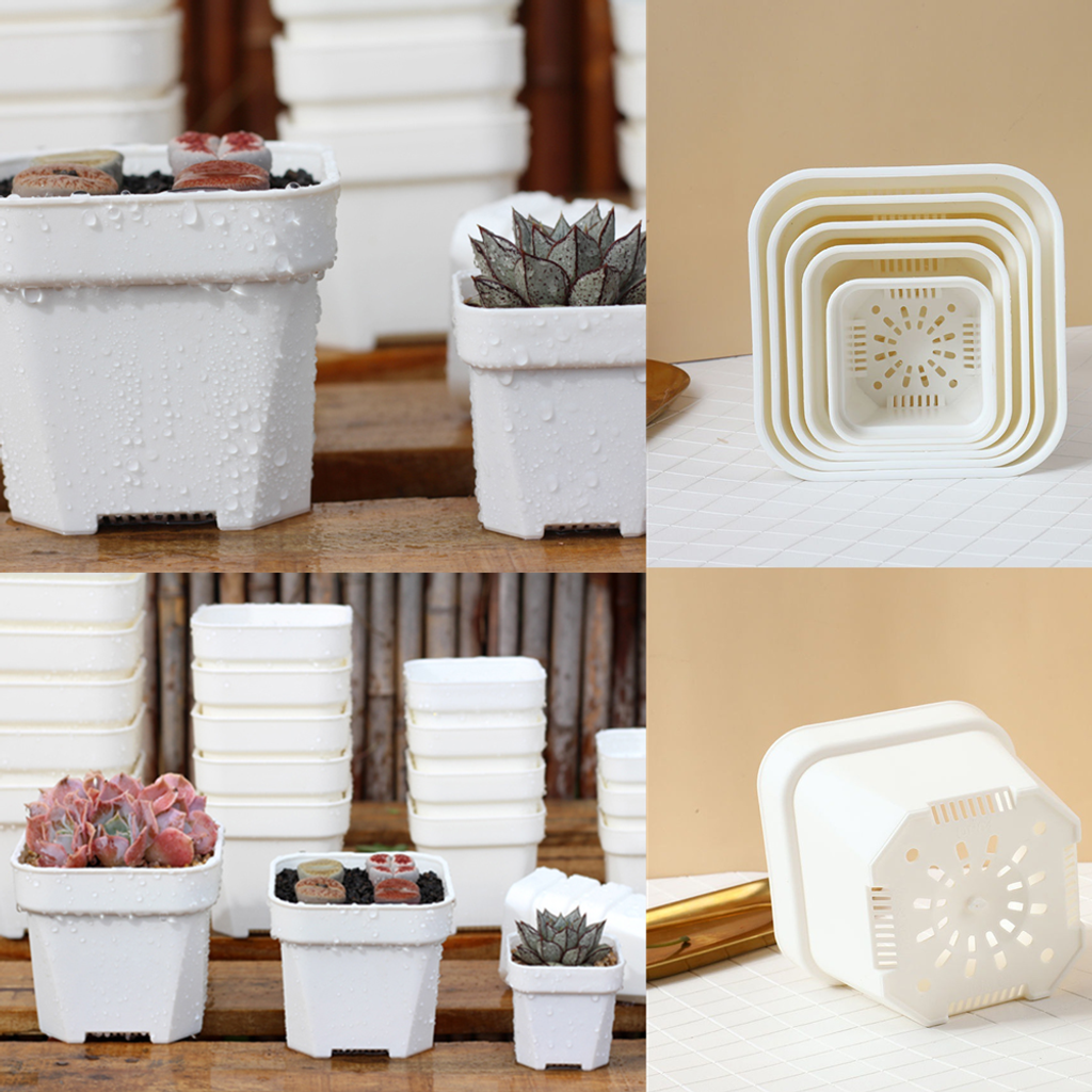 Square Succulent Pots 1 (8)_副本