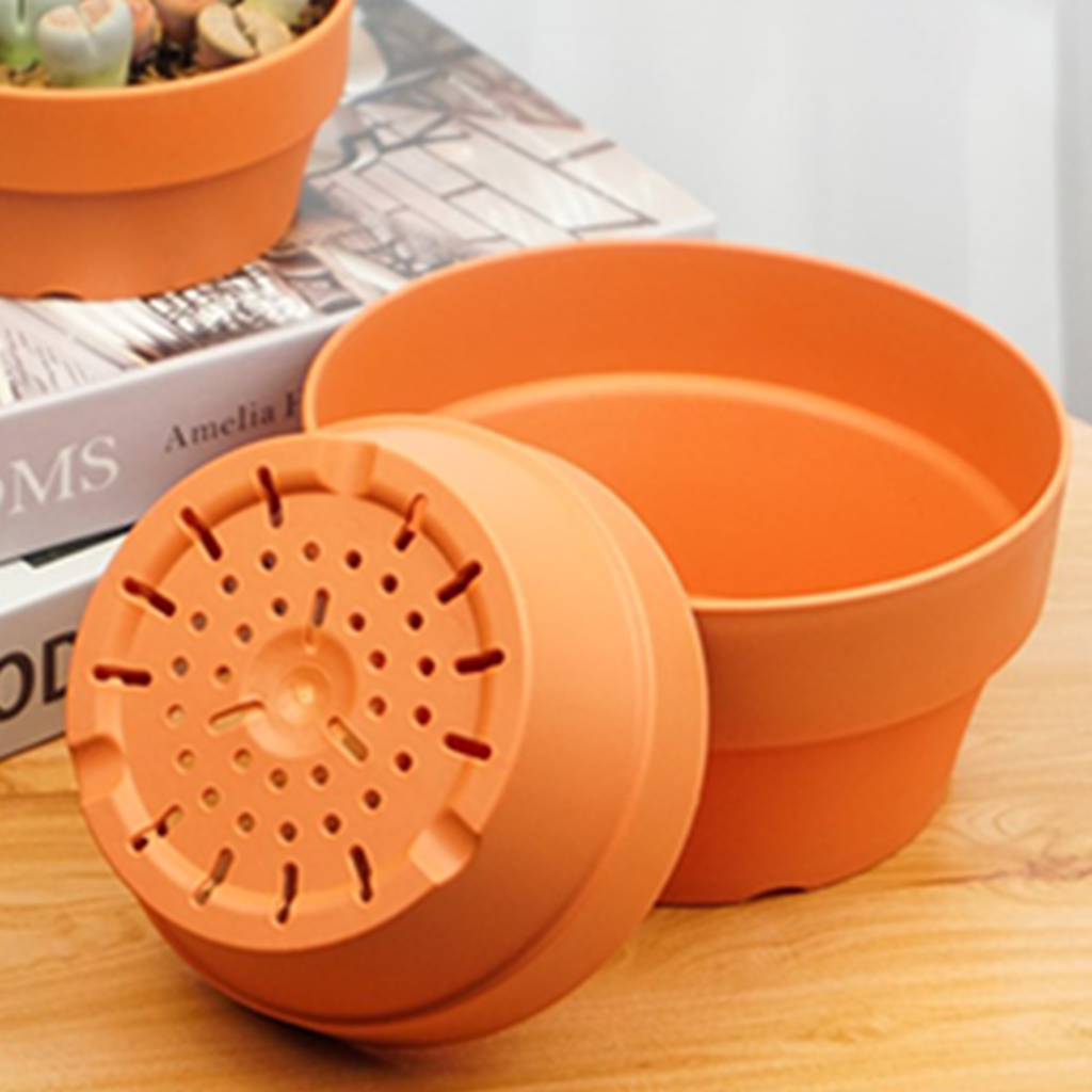 Succulent Red Pots (50)