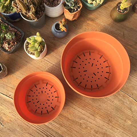 Succulent Red Pots (41)