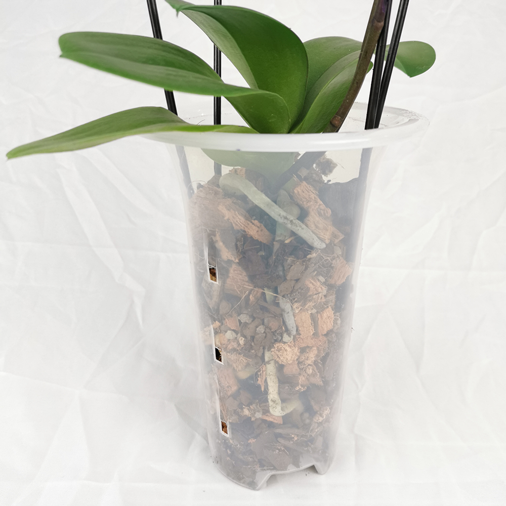 Tall Plant Pots (52)