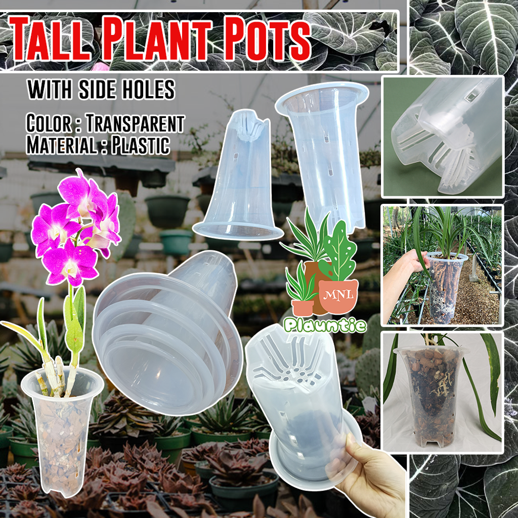 Tall Plant Pots_PM