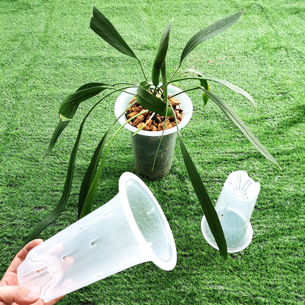 Tall Plant Pot 1 (6)