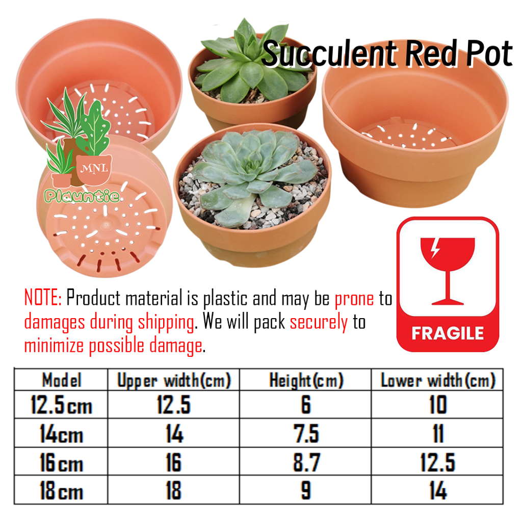 Succulent Red Pots_ 4size_副本