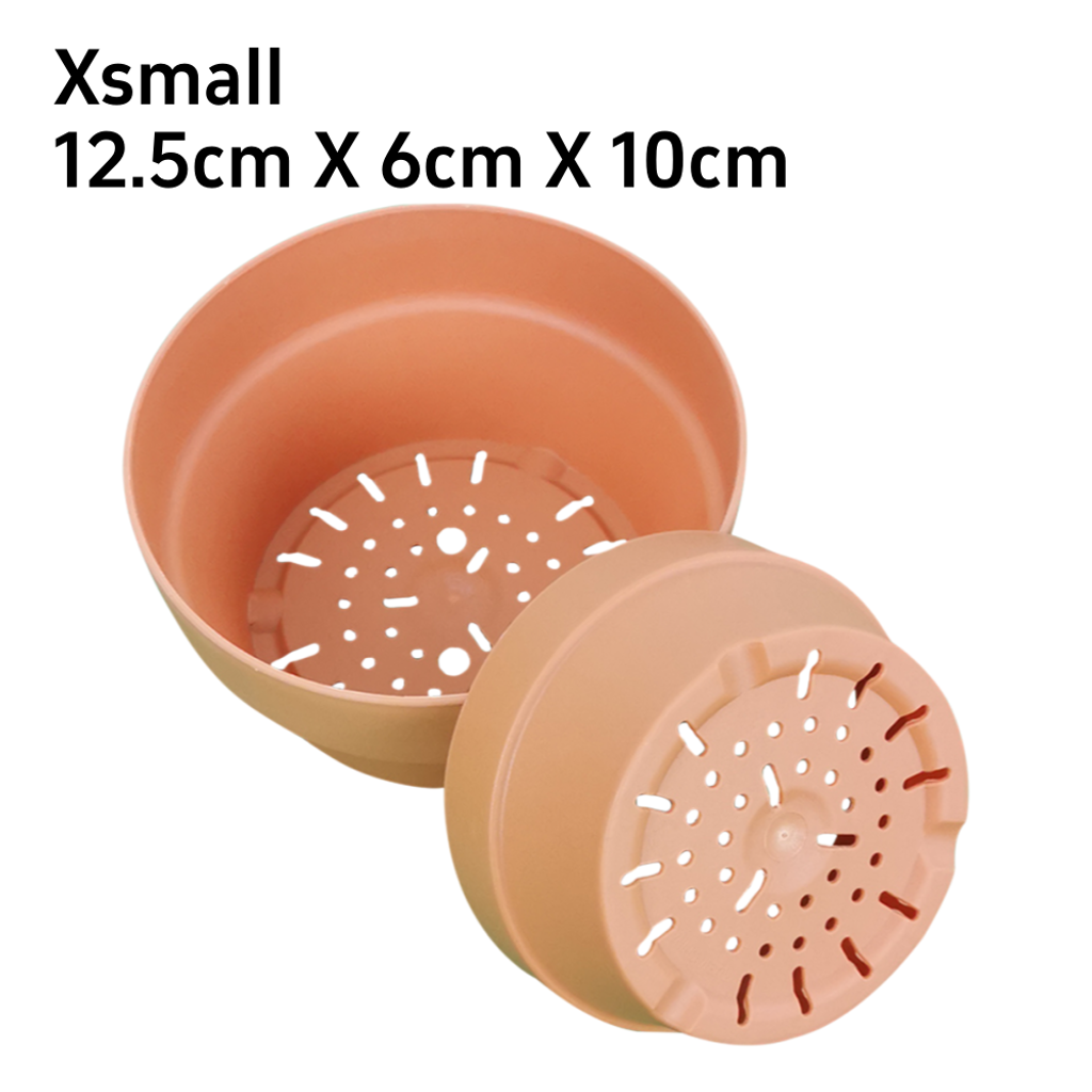 Succulent Red Pots (54)_Xs