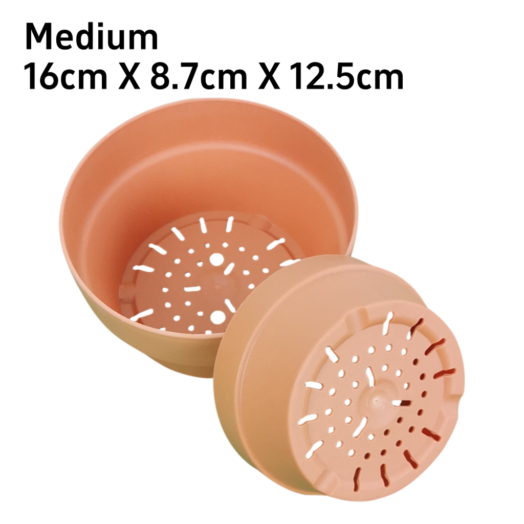 Succulent Red Pots (54)_M