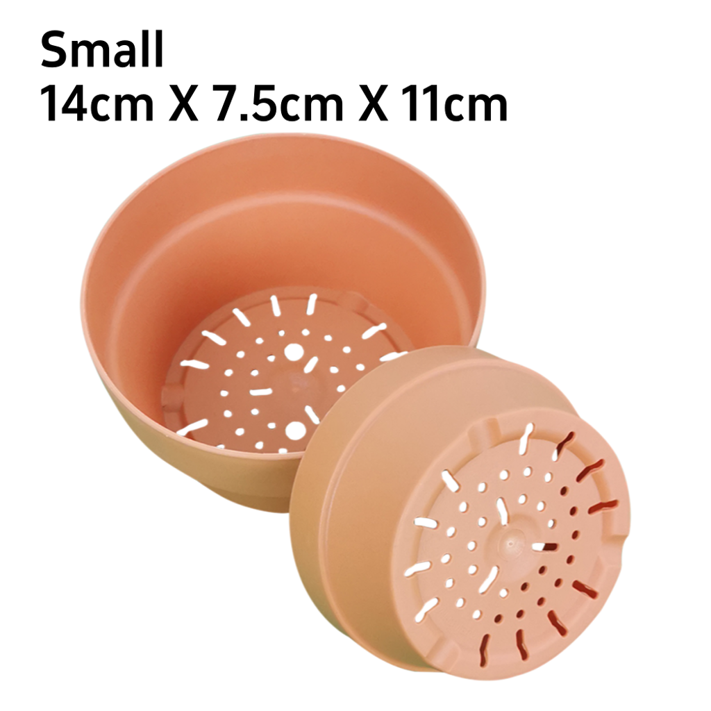 Succulent Red Pots (54)_S
