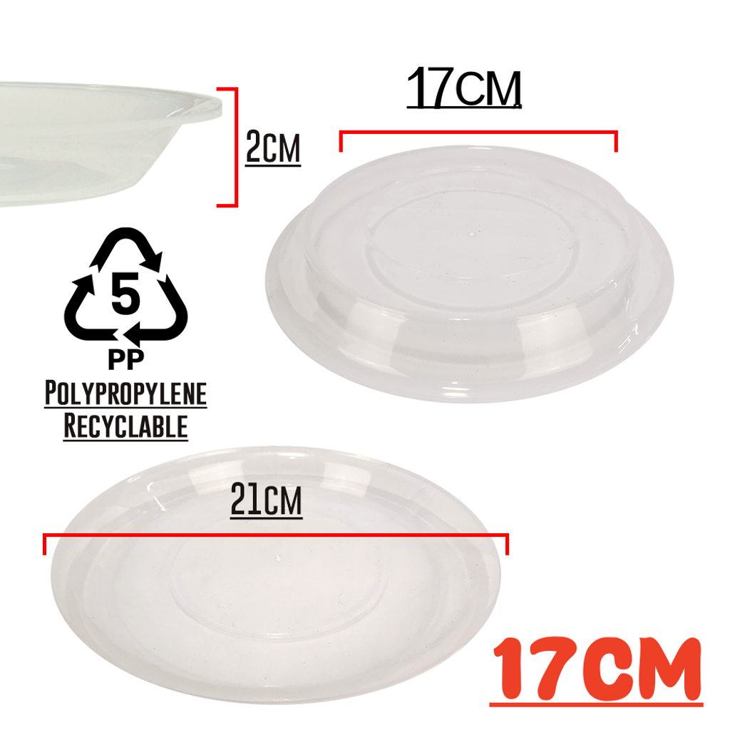 Catch Plate (54)_17cm
