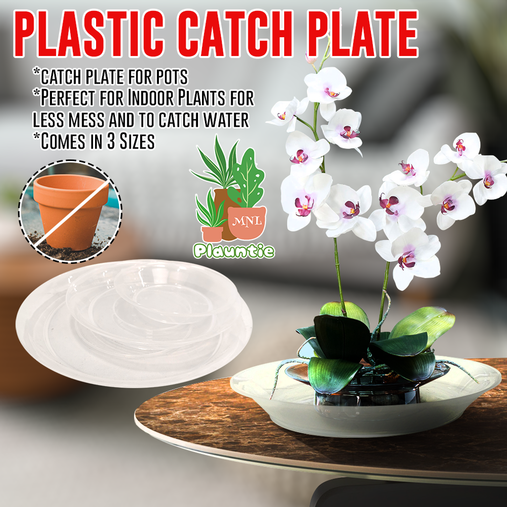 Catch Plate_PM