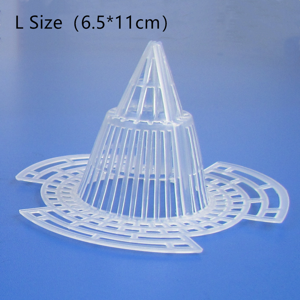 L SIZE