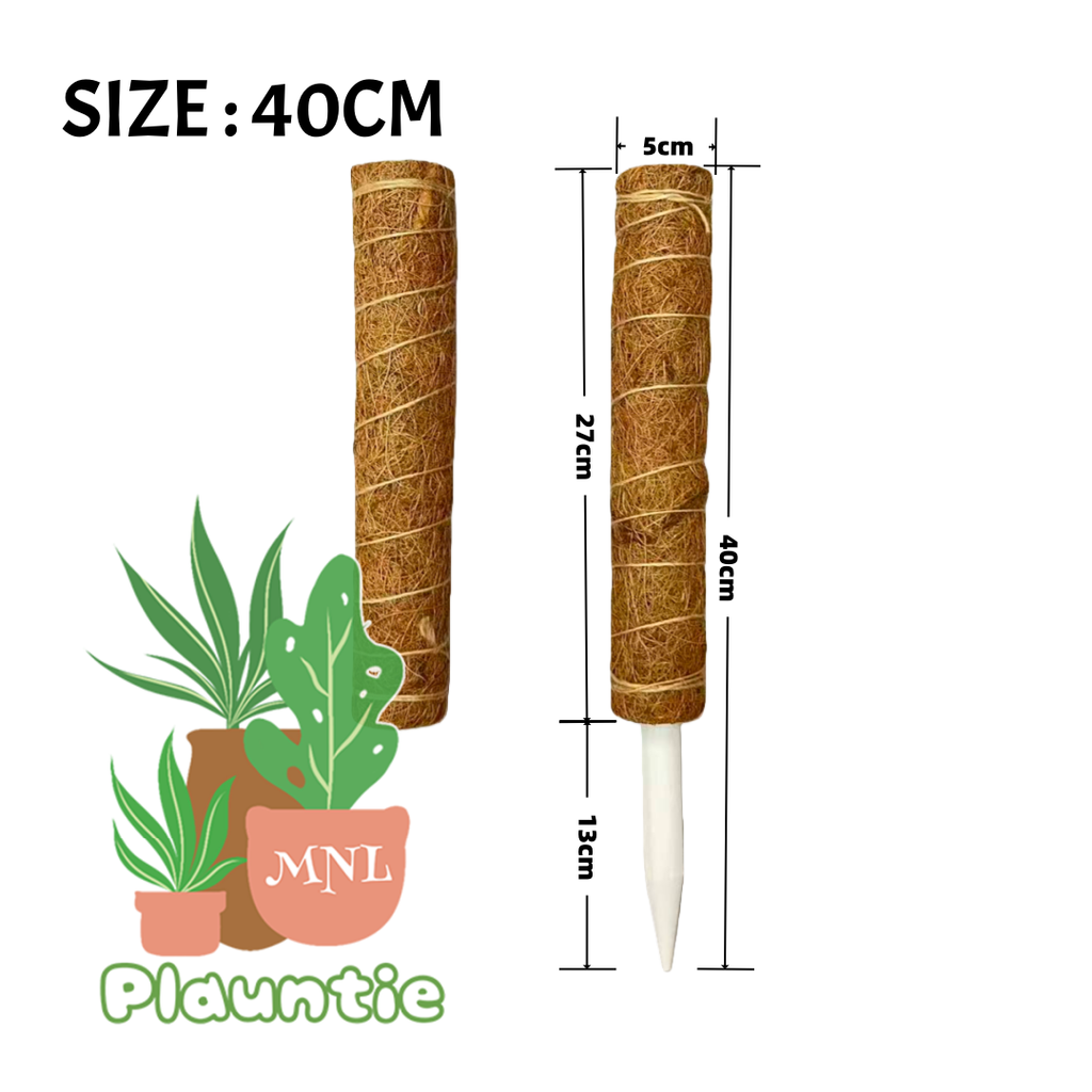 Stackable Coco Pole_W (4)_ 40CM_PM