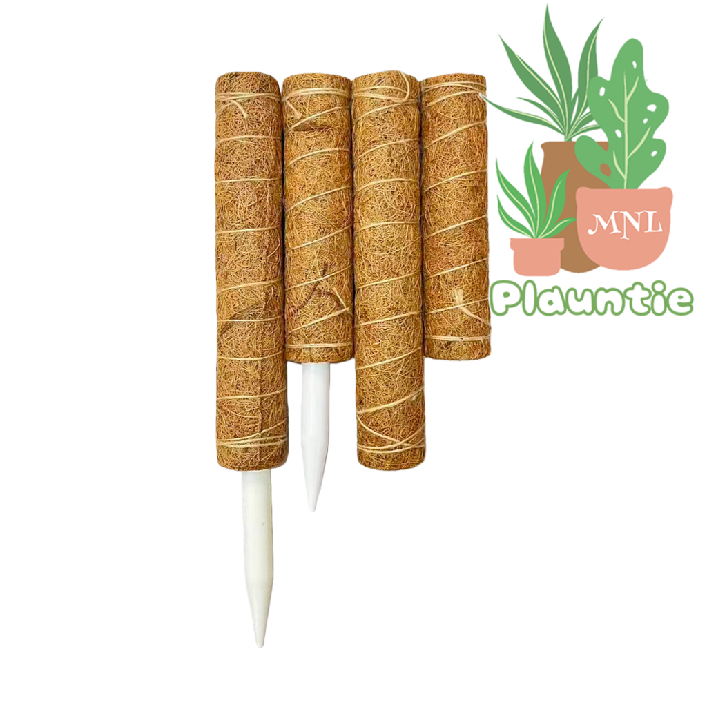 Stackable Coco Pole_W (7)_W_PM