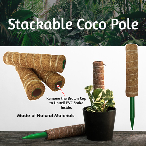 Stackable Coco Pole (38)