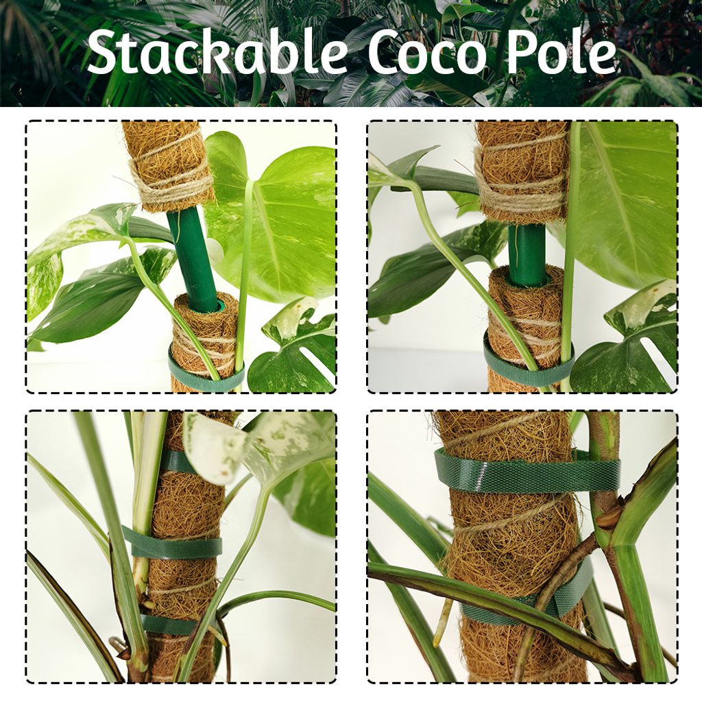 Stackable Coco Pole (42)