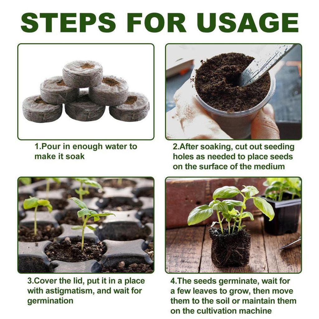 Seedling Block 2 (2)