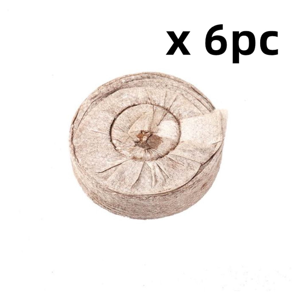 Seedling block 11 (1)_x6