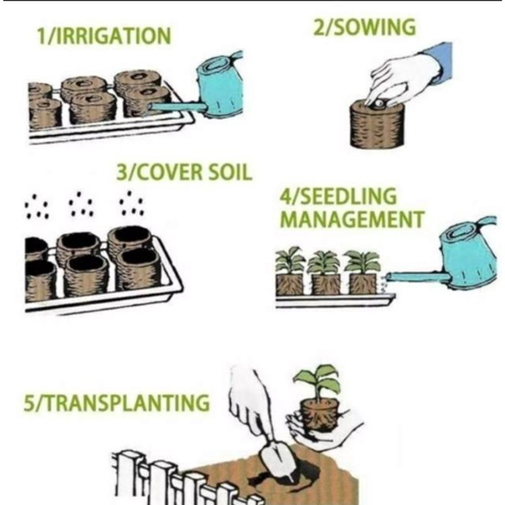 Seedling block (20)