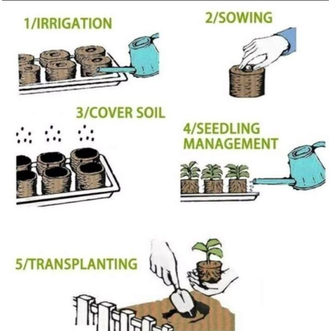 Seedling block (20)