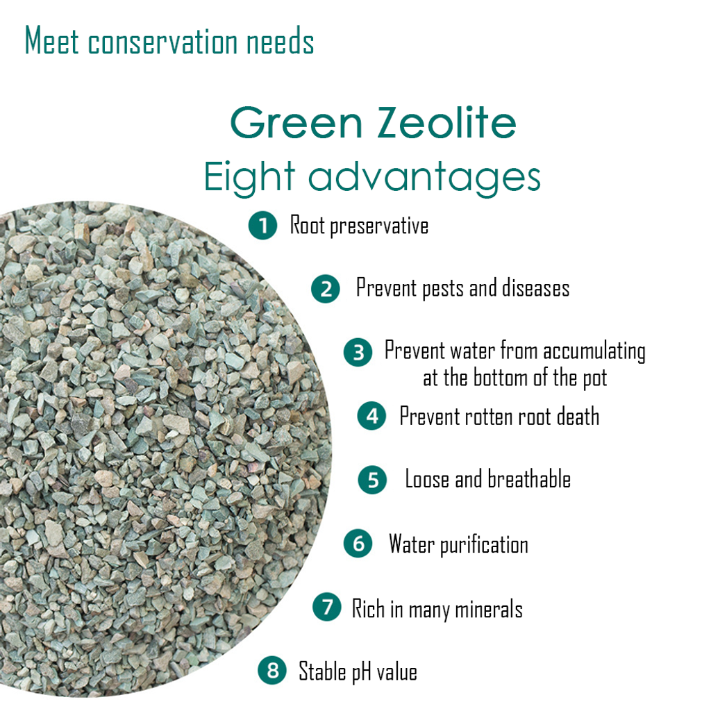 Green Zeolite (22)