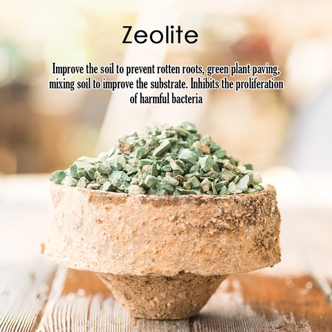 Green Zeolite (27)