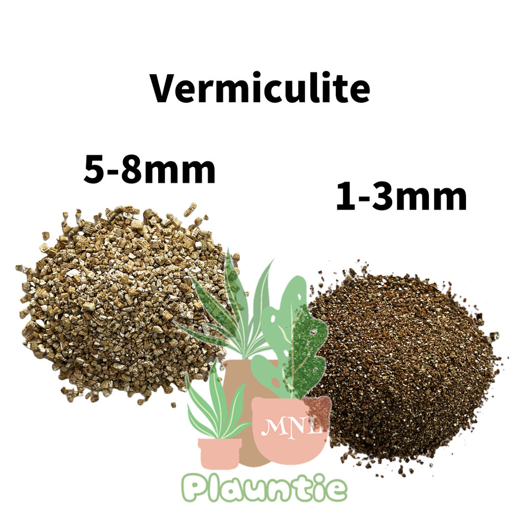 Vermiculite1L size 42_PM
