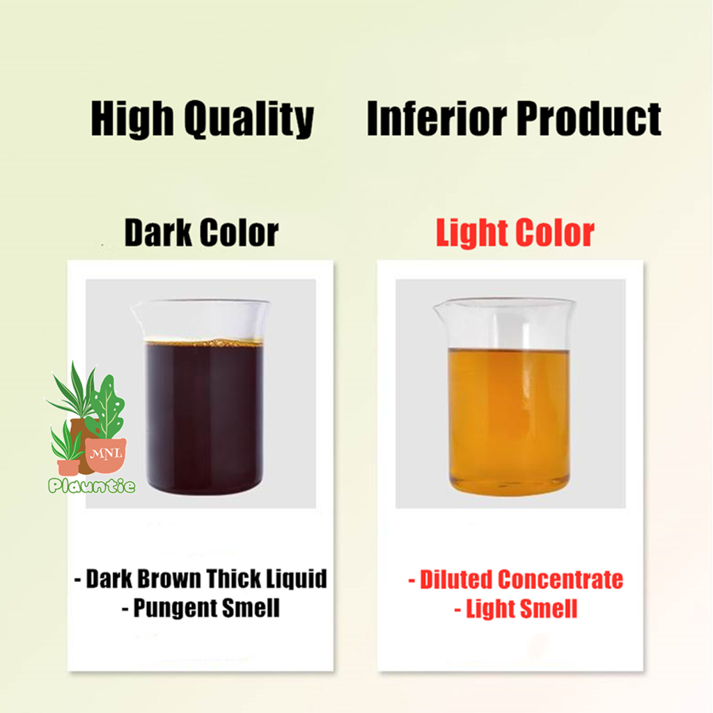 Organic Neem Oil (1)1