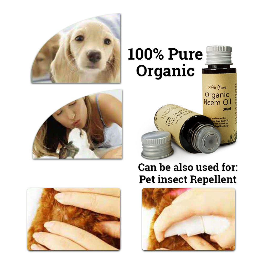 Organic Neem Oil (26)