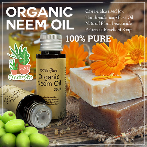 Organic Neem Oil_PM