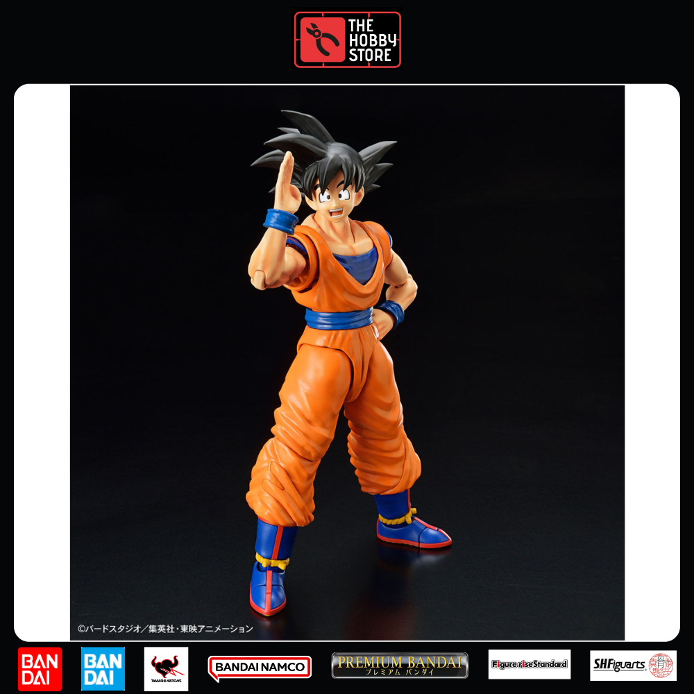 Dbz figure hot sale rise standard