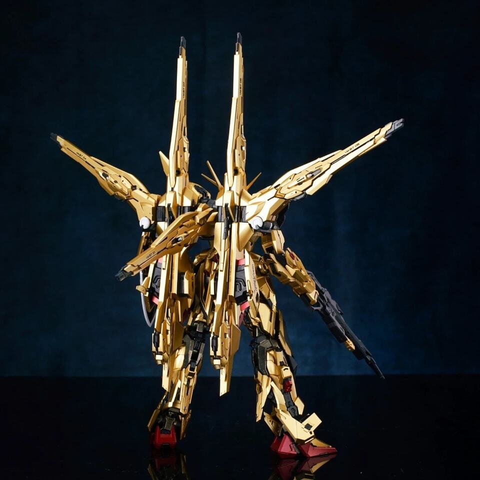 550334713_1463409785183287_6977767524268331875_n