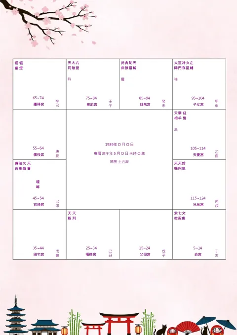 命書：單項主題深度諮詢