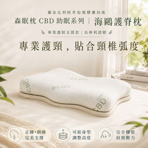 護脊枕 主圖