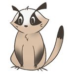 果子狸