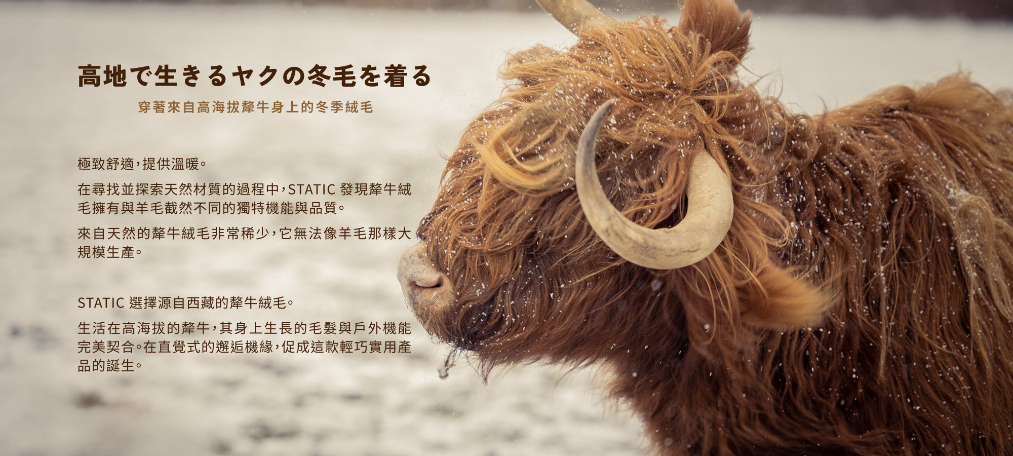 YAK_YAK_PC