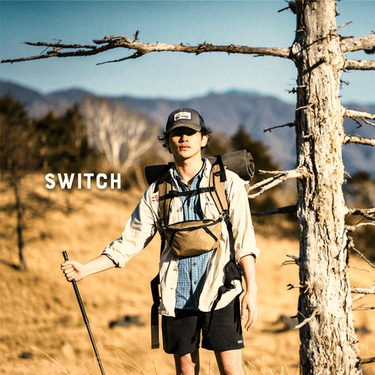 switch_paago_JPG