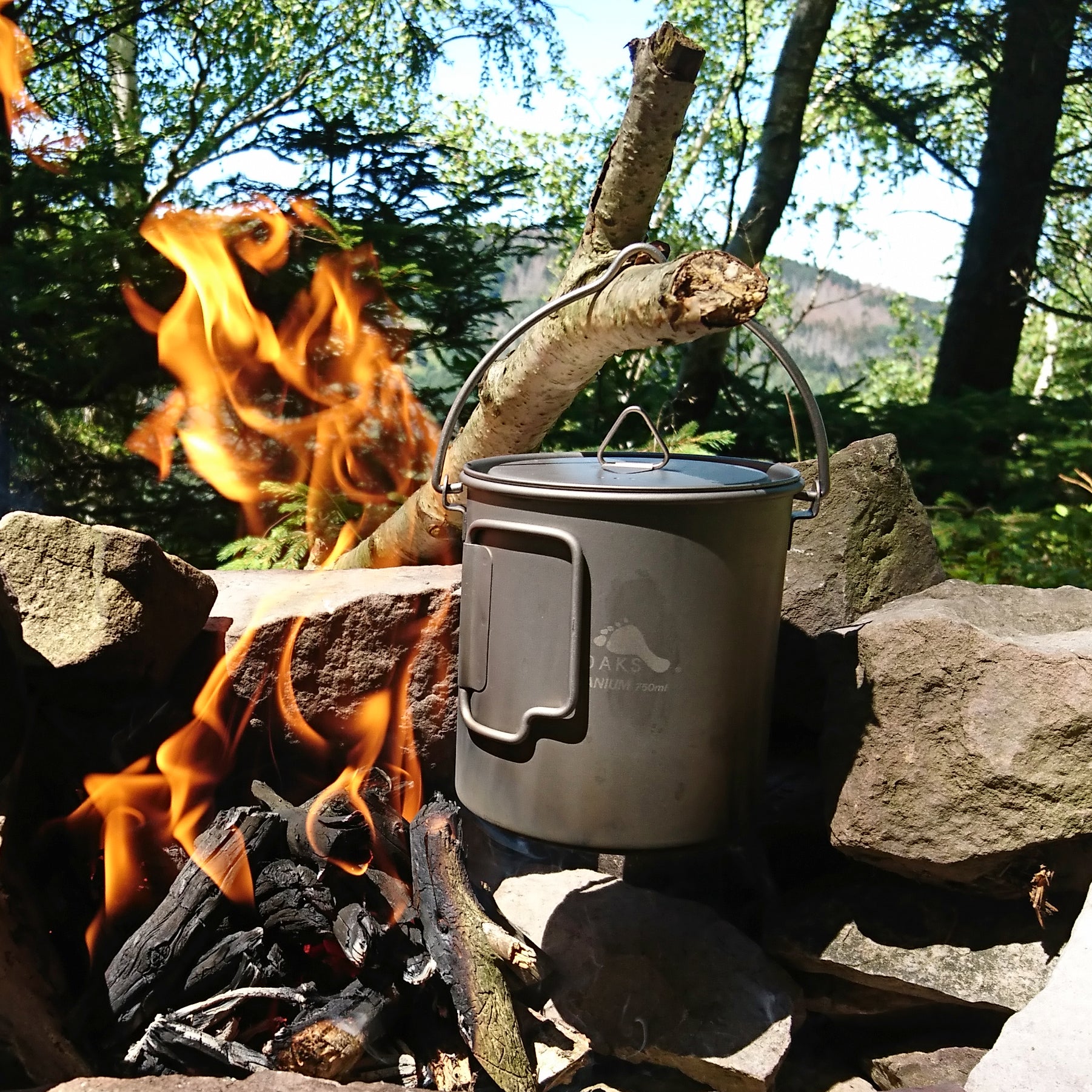 1394600001-Life-POT-750-BH-1