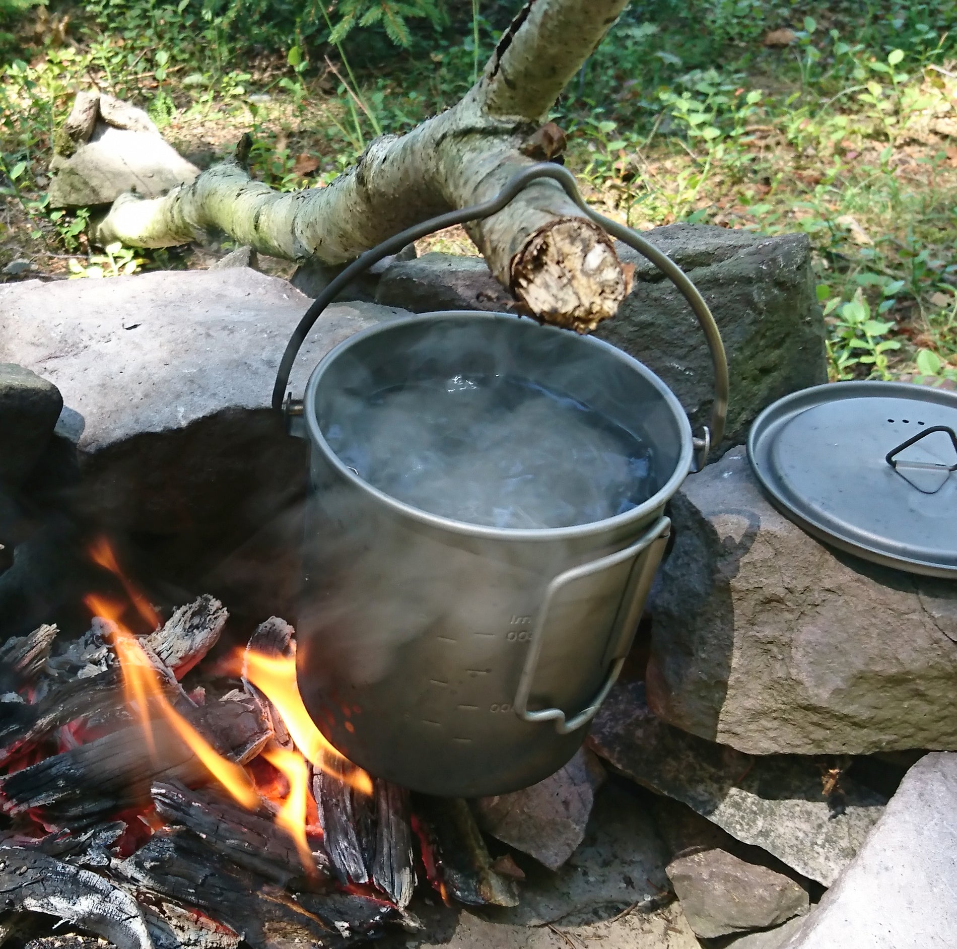 1394600001-Life-POT-750-BH-2