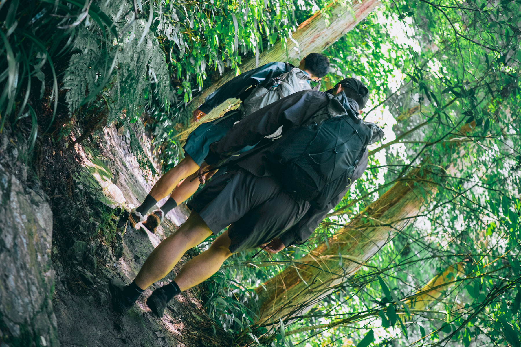 DSCF5310_265eaeba-1544-499c-973b-09e5ee03abb0_x