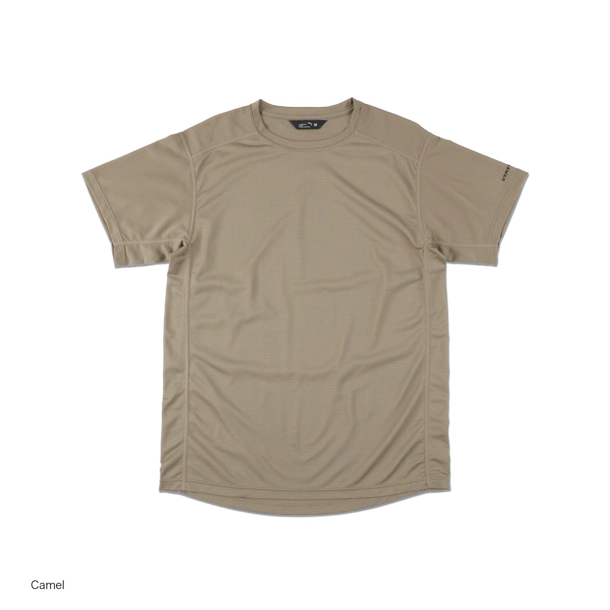 36223-camel