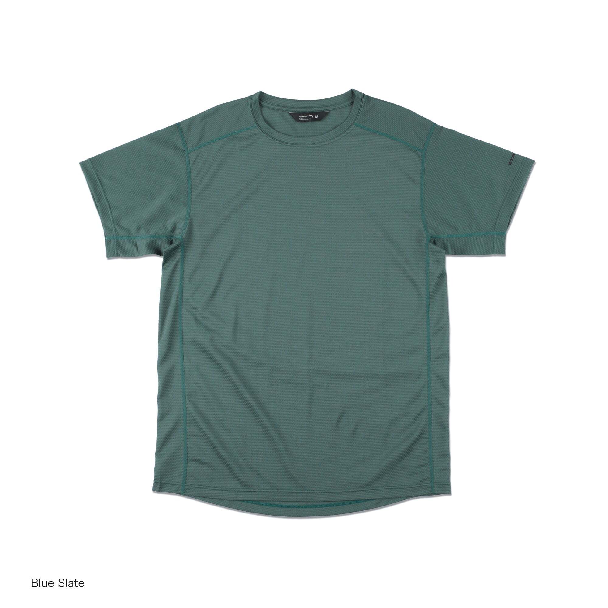 36223-blueslate