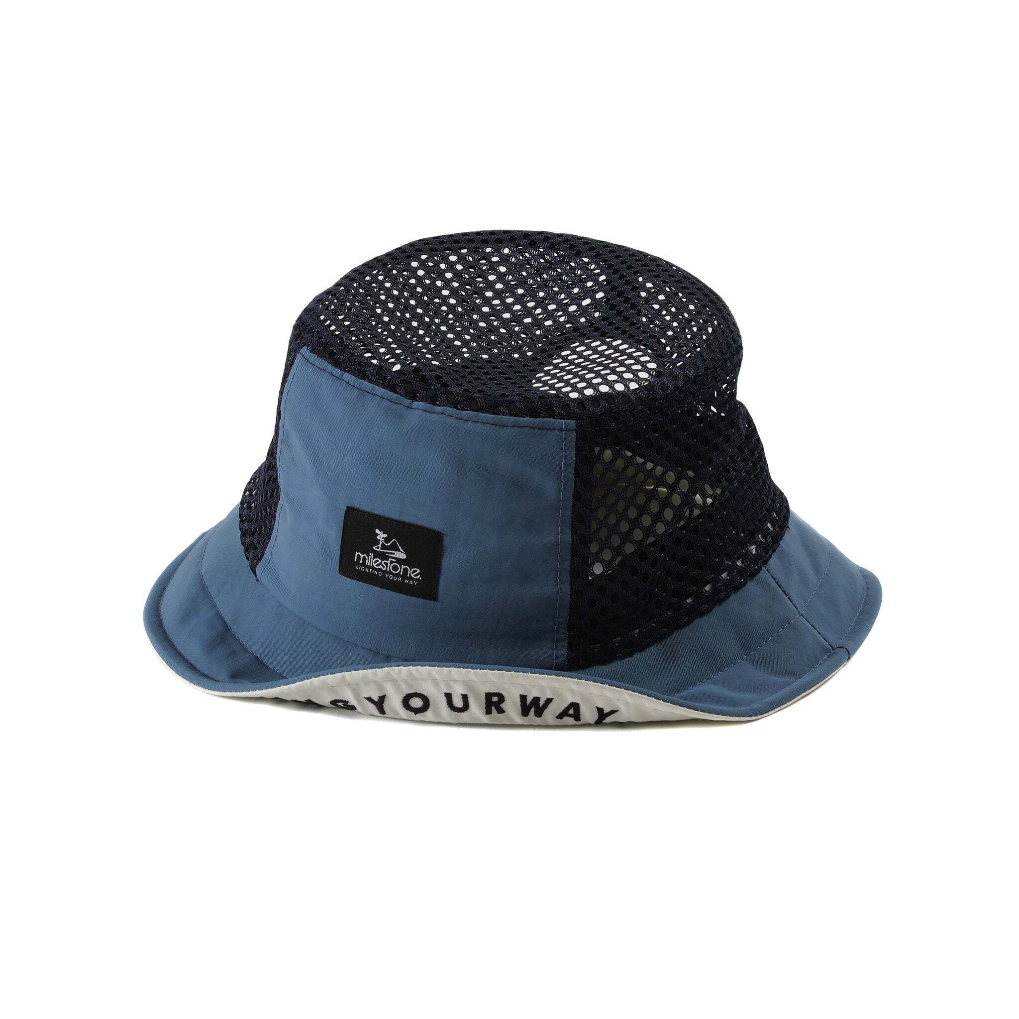 MSC-010-blue