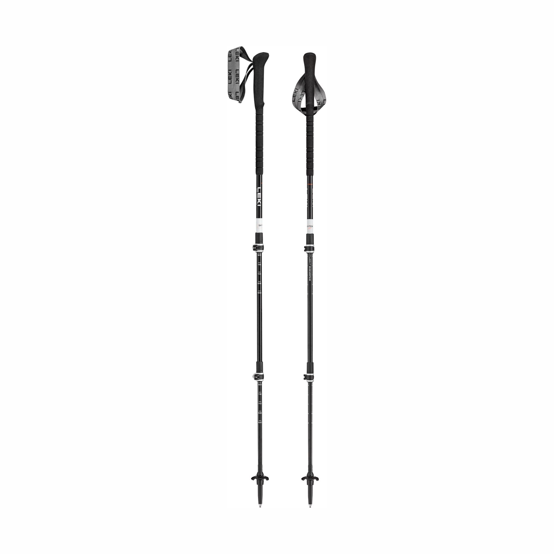 65621351S_P_x