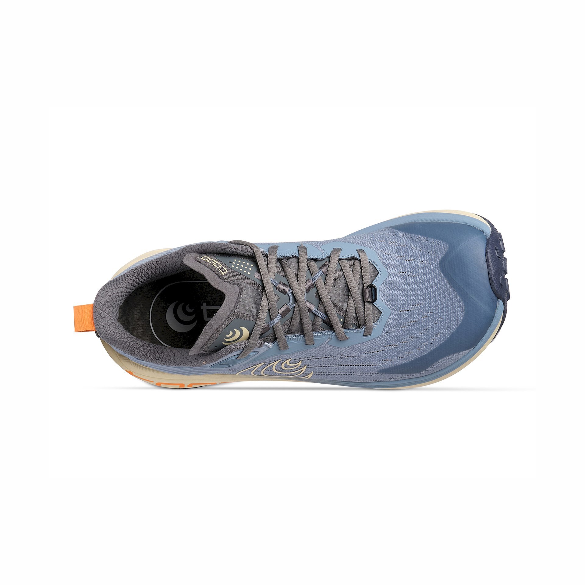 W088.Blue-Tan_02_x