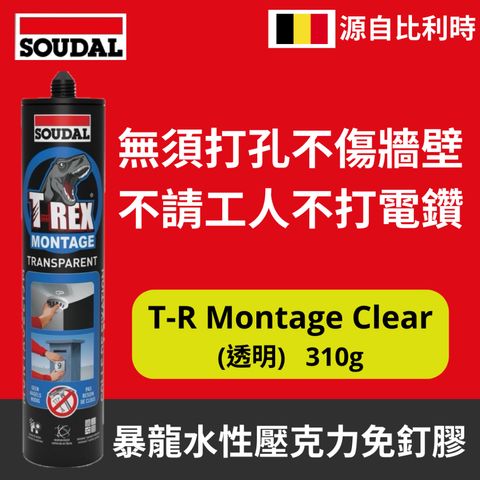 tw-11134207-7rash-m1f37nawshzocc