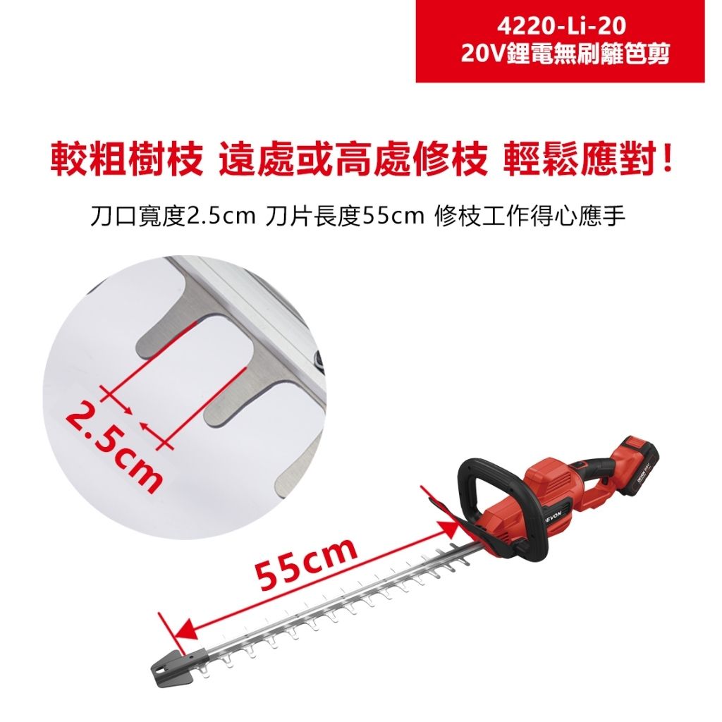 tw-11134207-7r992-lvfvfwkih10ud6