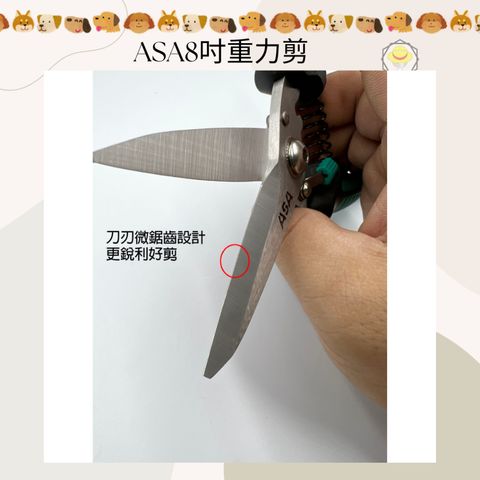 tw-11134207-7r98y-lz084t6hvto4f6