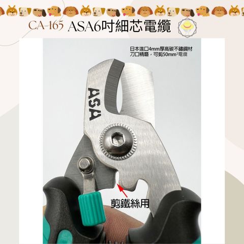 tw-11134207-7r98y-lz0743b4a6u6cc