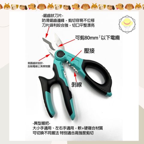 tw-11134207-7r991-lz0795x31zj2df