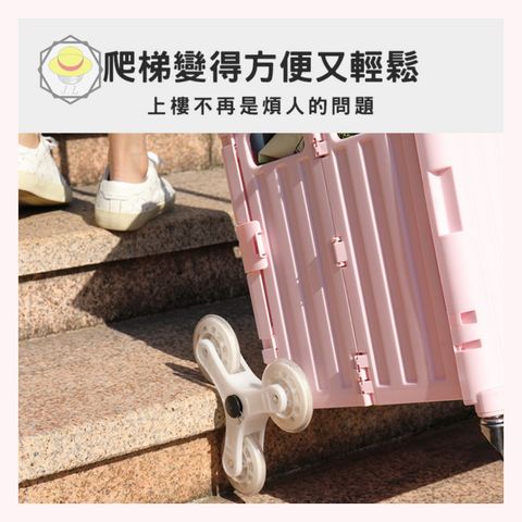 tw-11134207-7r98p-lz8gvo19g36m84